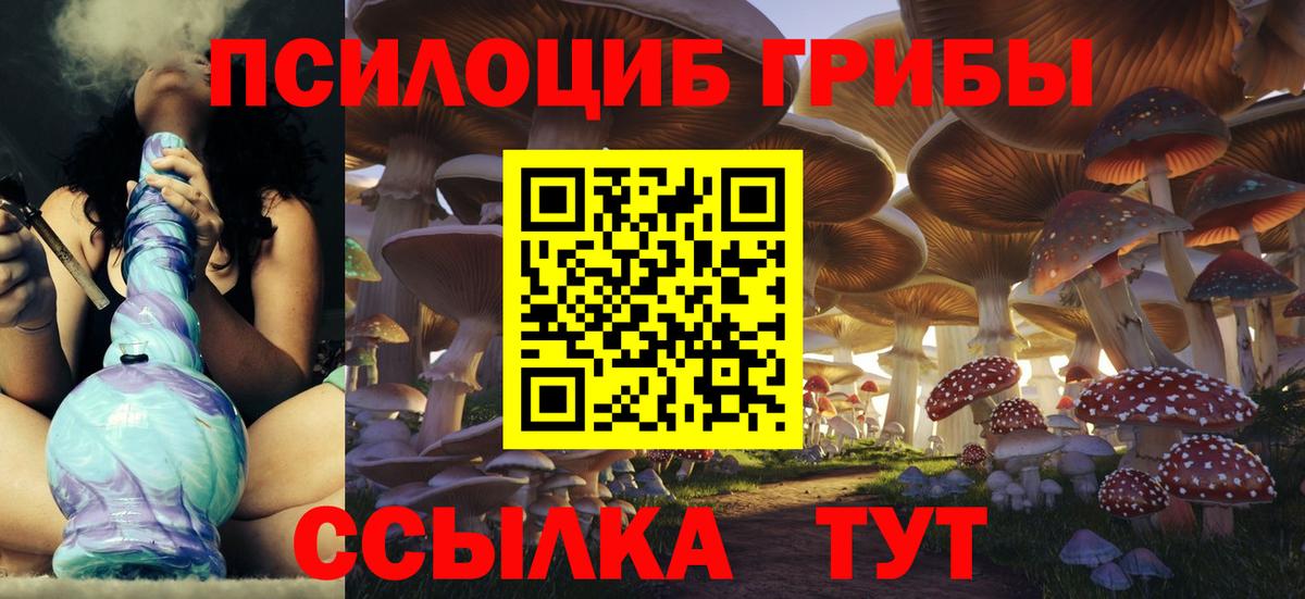Галлюциногенные грибы MAGIC MUSHROOMS  Вход с VPN  Дедовск  Псилоцибиновые грибы прущие грибы 